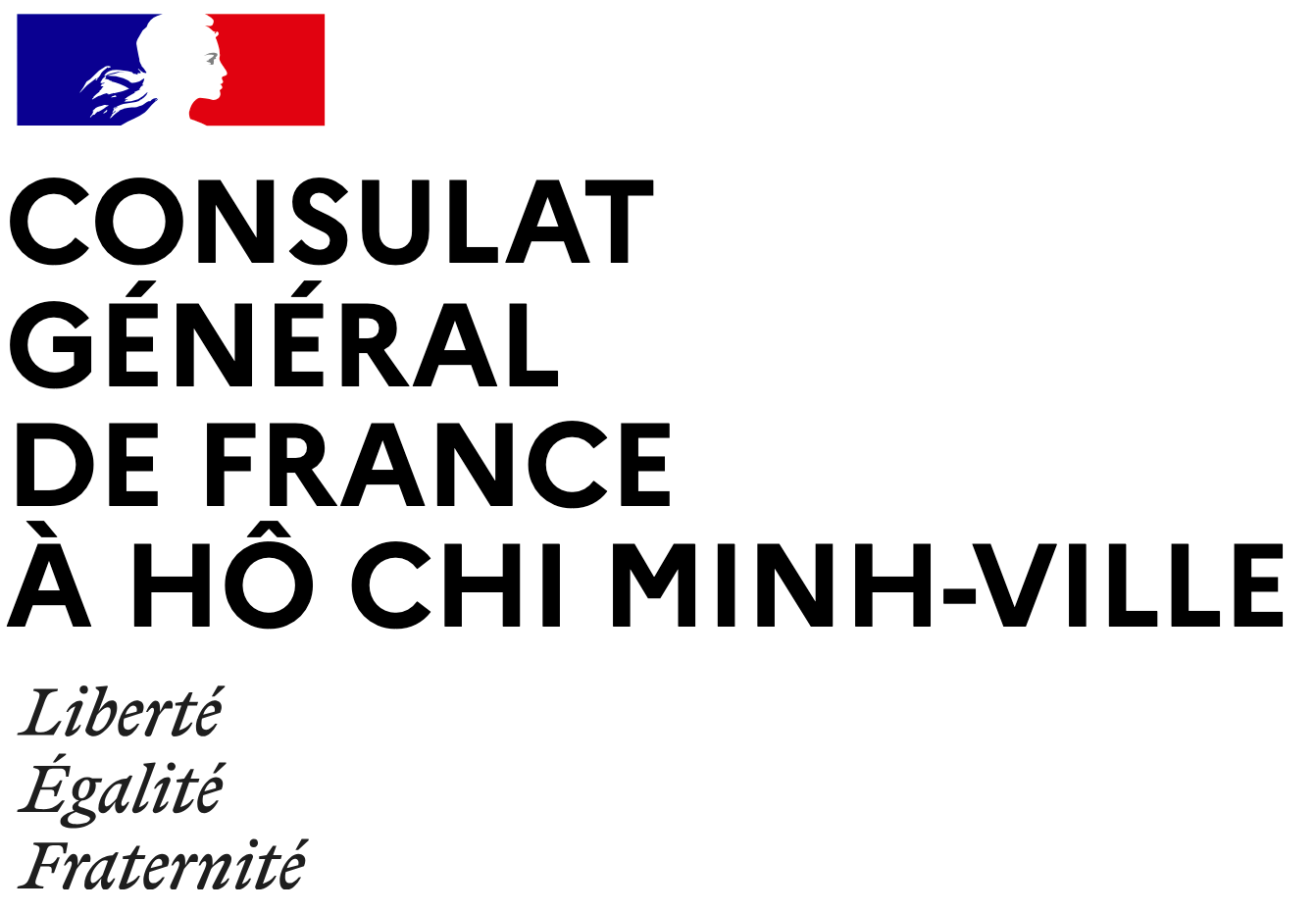 Logo consulat general de france a ho chi minh ville boule et billes ecole francaise internationale vietnam