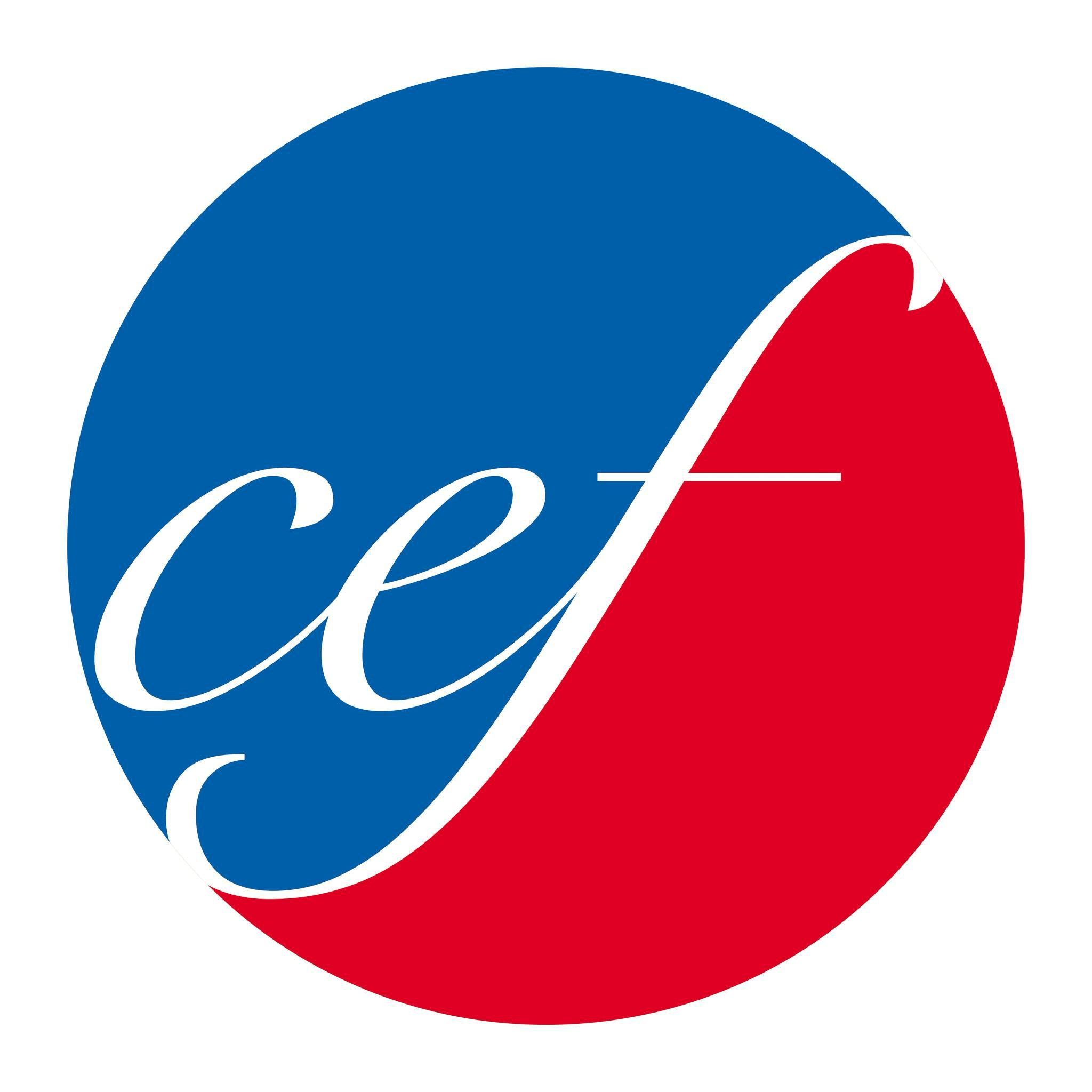 logo culture espace francophone boule et billes ecole francaise internationale vietnam