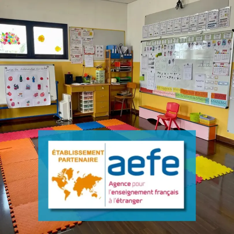 12 - Thao Dien and Binh Thanh International Nursery Kindergarten School Boule Et Billes Large