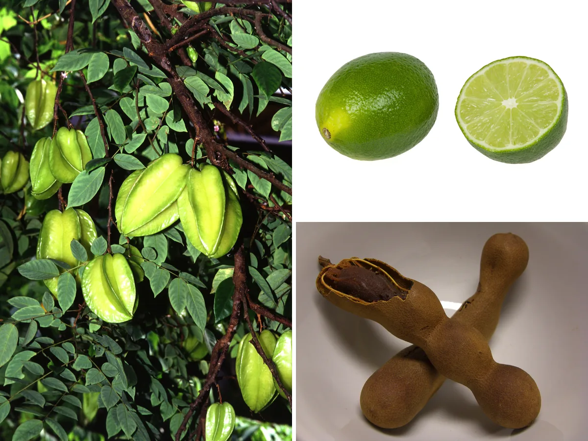 Des caramboles sur l'arbre, un citron vert entier et un coupé en deux, deux gousses de tamarin