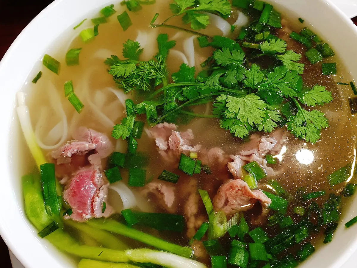 Un bol de phở bò : bouillon clair, nouilles de riz, bœuf, coriandre et oignon nouveau